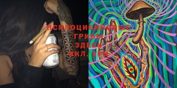Альфа ПВП Магадан