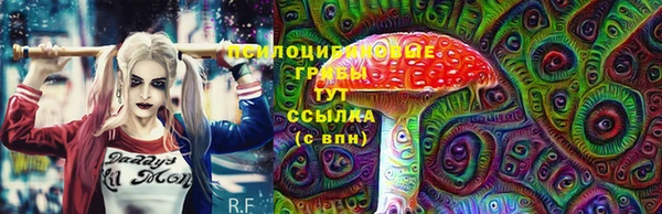 амф Магас