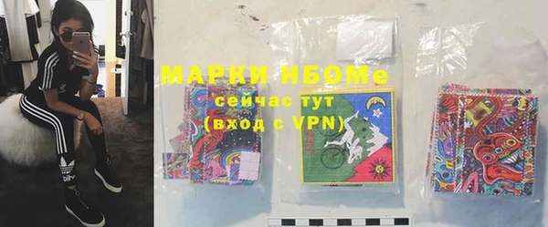 амф Магас