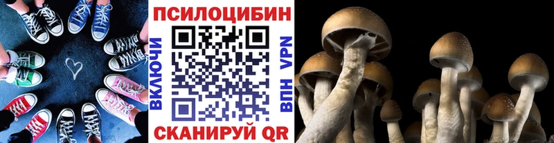 Псилоцибиновые грибы Psilocybine cubensis  Никольск 